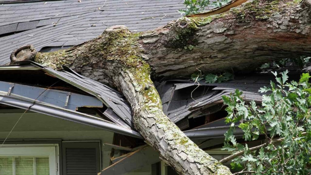 Fast Storm Damage Restoration Houston TX